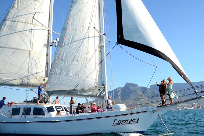Champagne Cruise (Pre-Sunset) from Cape Town - Why this short Cape Town cruise works so well