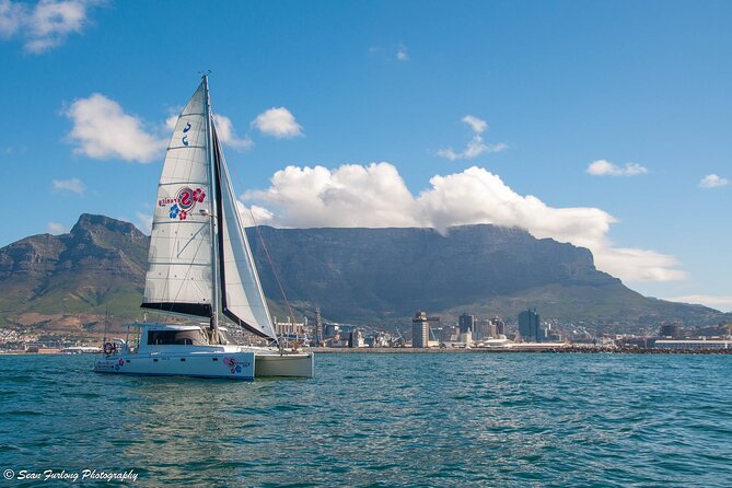 Champagne Cruise (Pre-Sunset) from Cape Town - The one-hour route along Cape Town’s coast