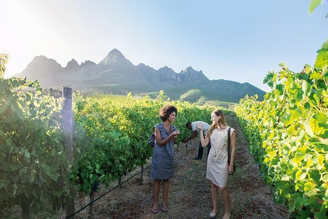 City Sightseeing Full Day Tour with Stellenbosch and Franschhoek Wineries - Diamond Works adds a hands-on pause