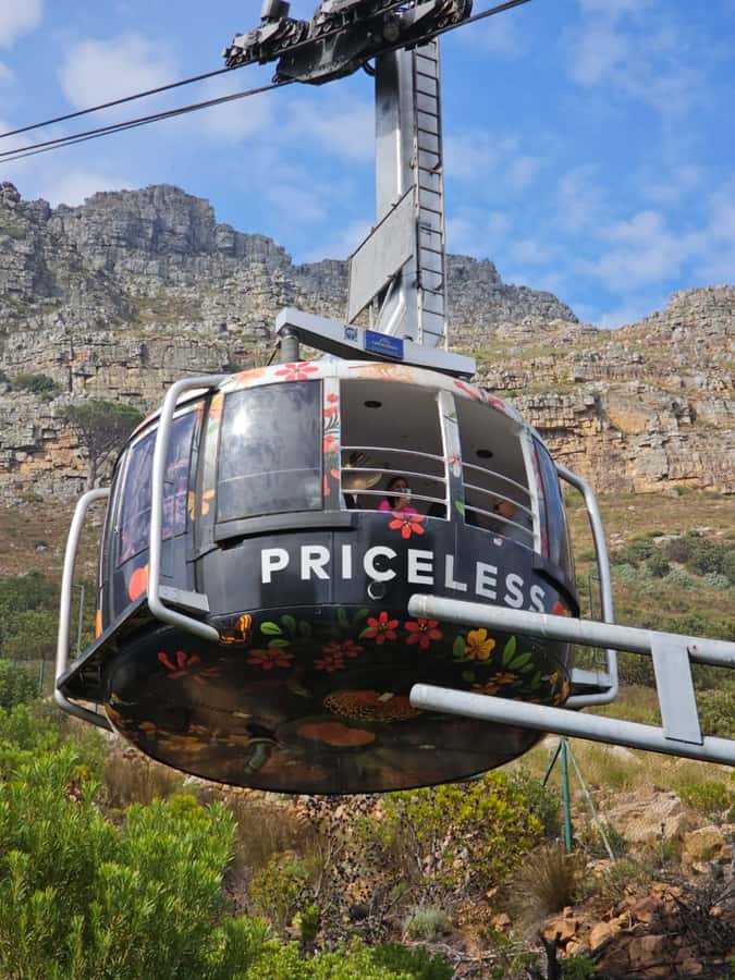 City Tour: Table Mountain, Kirstenbosch & Wine - One Day, Four Faces of Cape Town