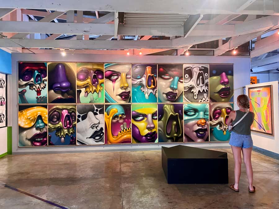 Colours of Johannesburg: A Graffiti & Street Art Tour - Ending in Maboneng with murals and city views