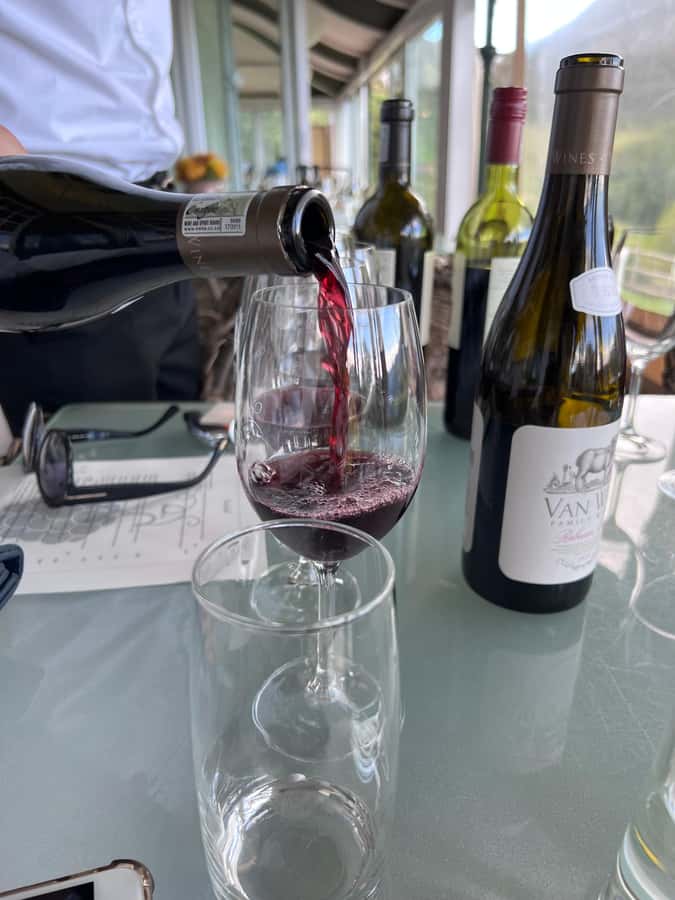 Constantia Half day Wine Tasting tour - Key points at a glance