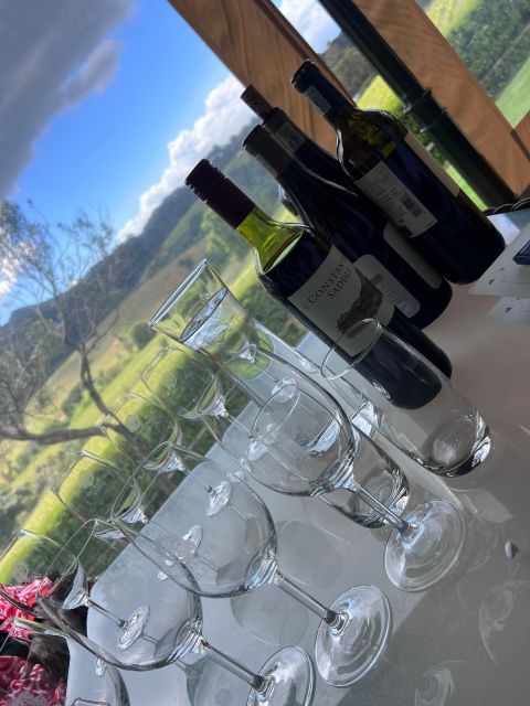 Constantia Half day Wine Tasting tour - A final tasting with views at Constantia Glen