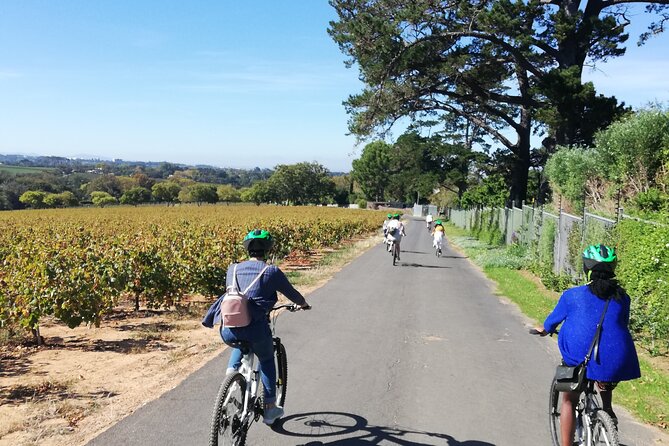 Constantia Hidden Gem Cycle Half Day - Private Tour - Why Constantia works so well for a cycling and wine tour
