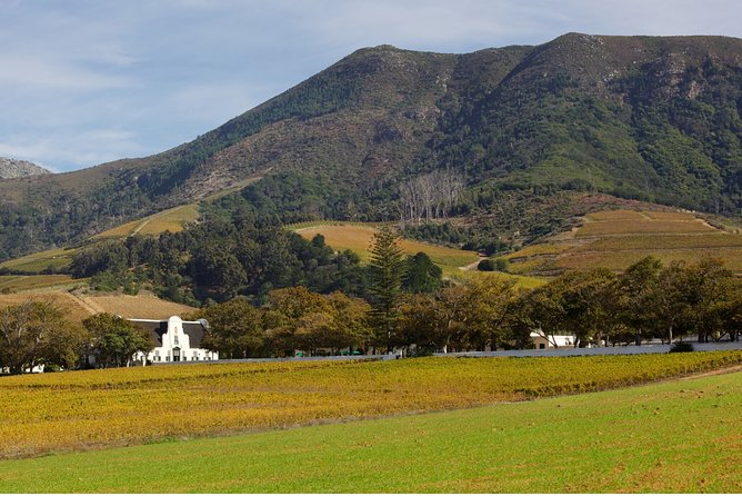 Constantia Hidden Gem Cycle Half Day - Private Tour - What the private format changes
