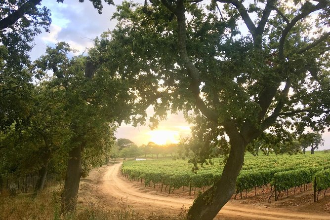 Constantia Hidden Gem Cycle Half Day - Private Tour - Is $148.64 per person good value?