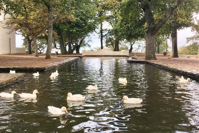 Constantia Hidden Gem Cycle Half Day - Private Tour - The fitness question matters