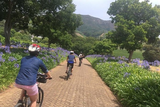 Constantia Hidden Gem Cycle Half Day - Private Tour - Who will enjoy this Constantia morning?