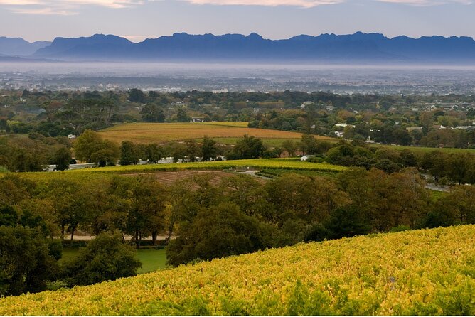 Constantia Hidden Gem Cycle Half Day - Private Tour - The ride through Constantia Valley