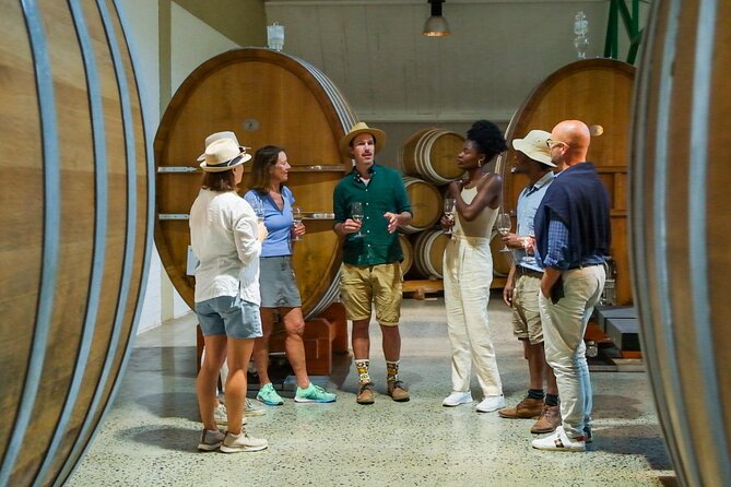 Constantia Wine Walk Storytelling Vineyard Tour with Lunch - Walking from Groot Constantia to Klein Constantia