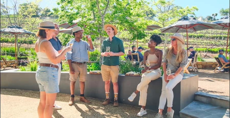 Constantia: Wine Walk with Lunch and Enchanting Stories - Klein Constantia and the taste of Vin de Constance