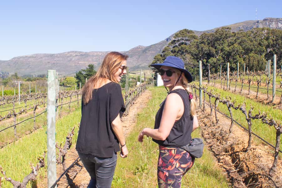 Constantia: Wine Walk with Lunch and Enchanting Stories - Practical details before you reserve