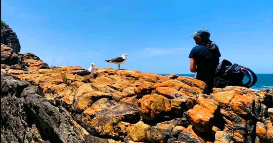 Costal Hiking Sacramento Trail: Port Elizabeth - Pickup from Port Elizabeth and the private-group format