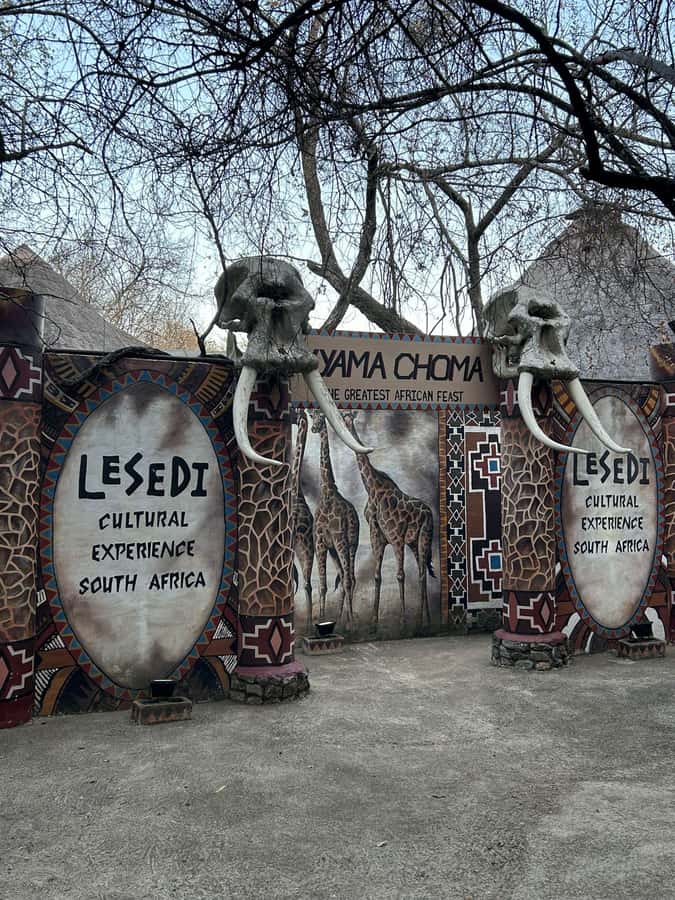 Cradle of Humankind and Lesedi Cultural Village - Why pair human origins with living culture?