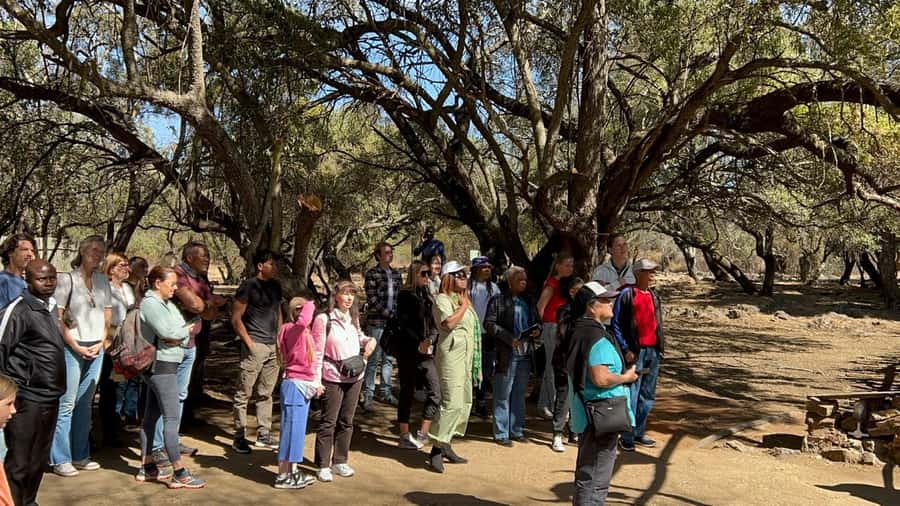 Cradle of Humankind and Lesedi Cultural Village - Music and traditional dancing at Lesedi