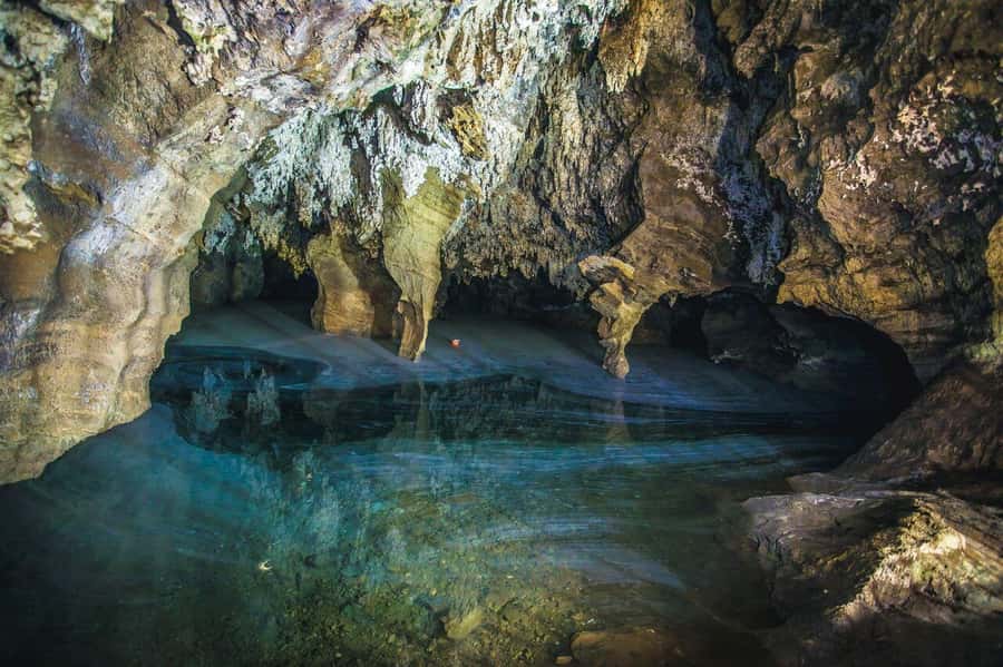 Cradle of Humankind and Sterkfontein Caves Half-Day Tour - Who should book this experience