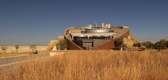 Cradle of Humankind, Caves or Maropeng, Rhino and Lion Park - A smart pairing: human origins and modern wildlife