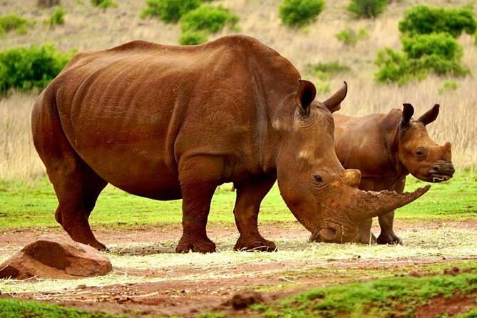 Cradle of Humankind, Caves or Maropeng, Rhino and Lion Park - What Shane Gouldie adds to the day