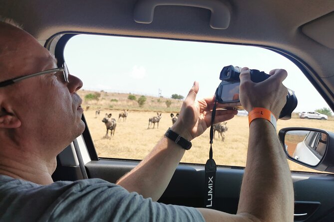 Cradle of Humankind, Caves or Maropeng, Rhino and Lion Park - What the $97.77 price really covers