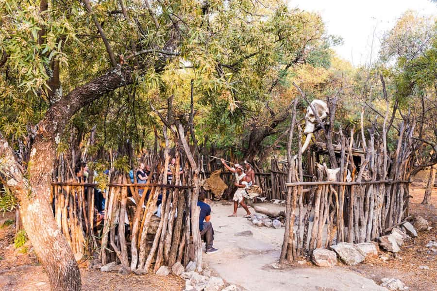 Cradle Of Humankind, Lesedi Cultural Village & Lion's Park - Should you book this day?