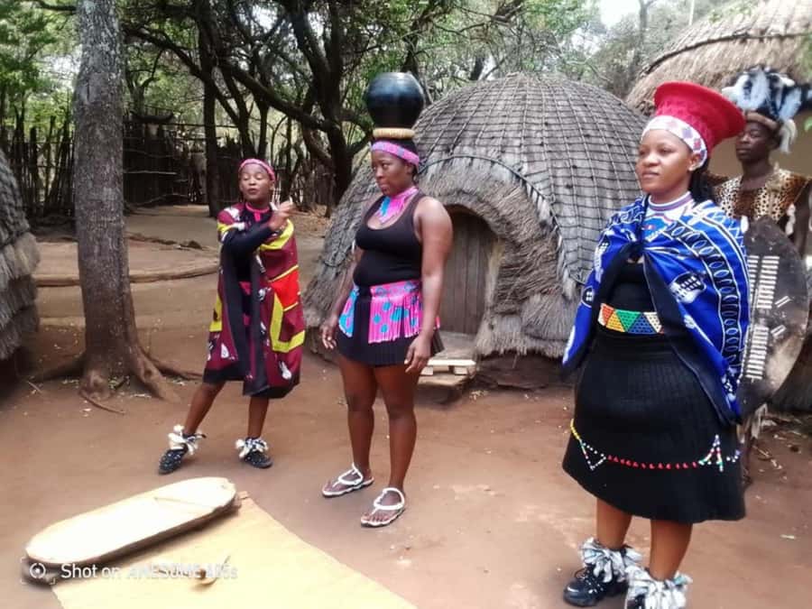 Cradle Of Humankind, Lesedi Cultural Village & Lion's Park - What the $246 price really covers