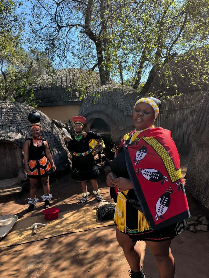 Cradle Of Humankind, Lesedi Cultural Village & Lion's Park - Cradle of Humankind: fossils, origins, and a hurried hour