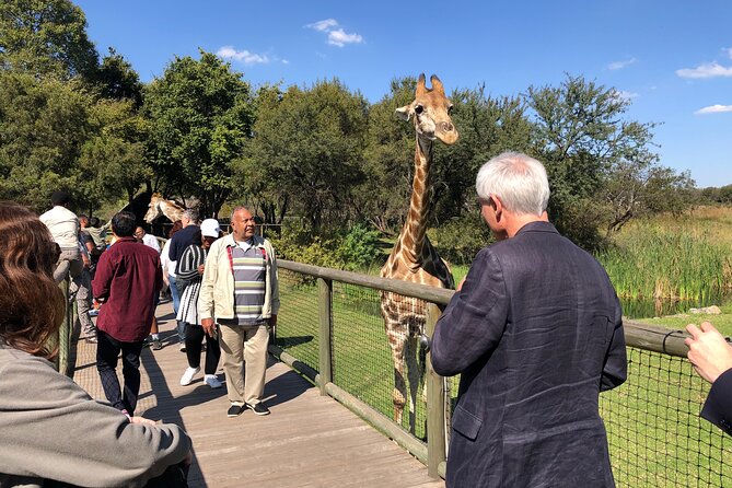 Cradle of Humankind Tour with Lion Safari from Johannesburg - Why this pairing works from Johannesburg