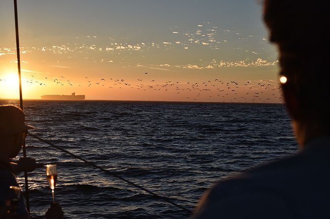 Cruise and Dine Dinner / Cape Town: Sunset Champagne Cruise and 3-Course Dinner - Marine life and the Atlantic view