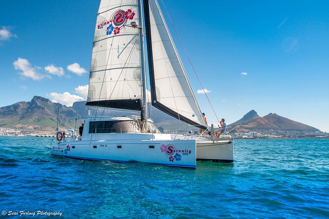 Cruise and Dine Lunch / Cape Town: Coastal Motor Cruise and 2-Course Lunch - Should you book the coastal cruise and lunch?