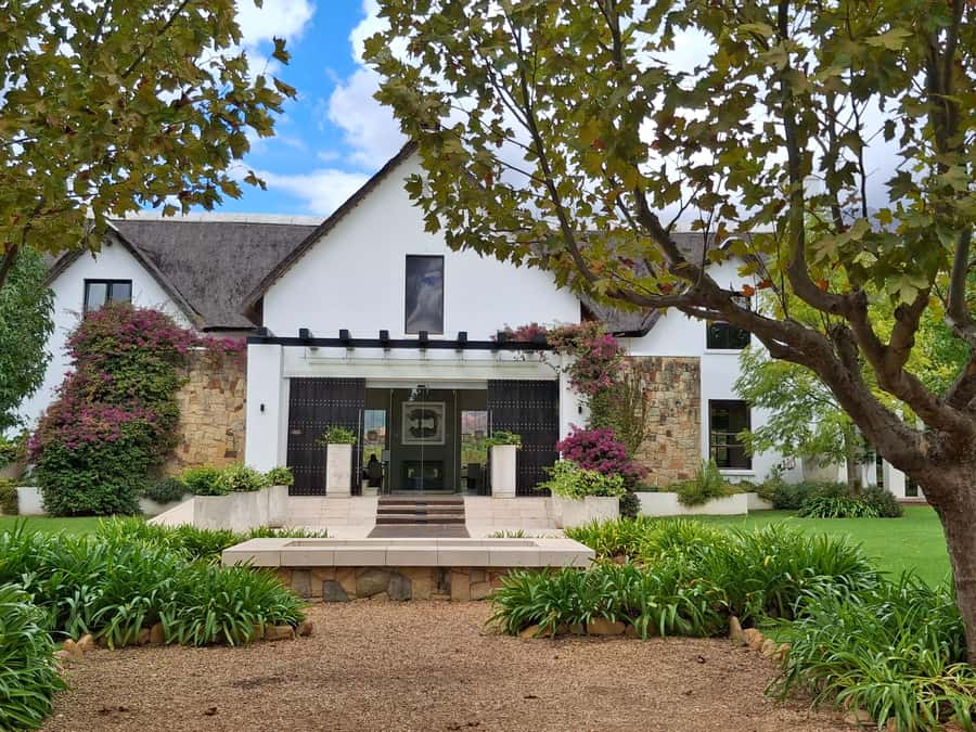 CUSTOMISED PRIVATE WINE TOUR WITH LUNCH - CAPE TOWN - Choosing lunch without losing the day