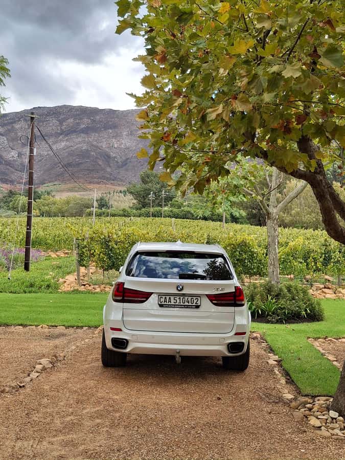 CUSTOMISED PRIVATE WINE TOUR WITH LUNCH - CAPE TOWN - Waterford: finish with chocolate and wine