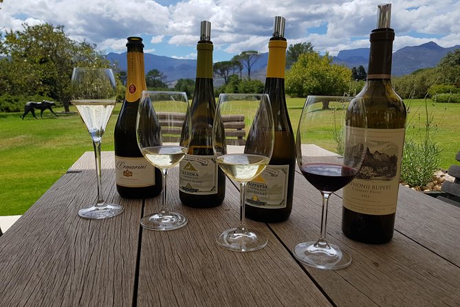 Customized Private Wine Tour - Lunch near Rust en Vrede needs its own budget