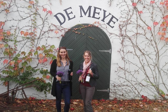 Daily Different small group WINE tour - STELLENBOSCH PICKUP only - Jordan Bakery and the lunch stop