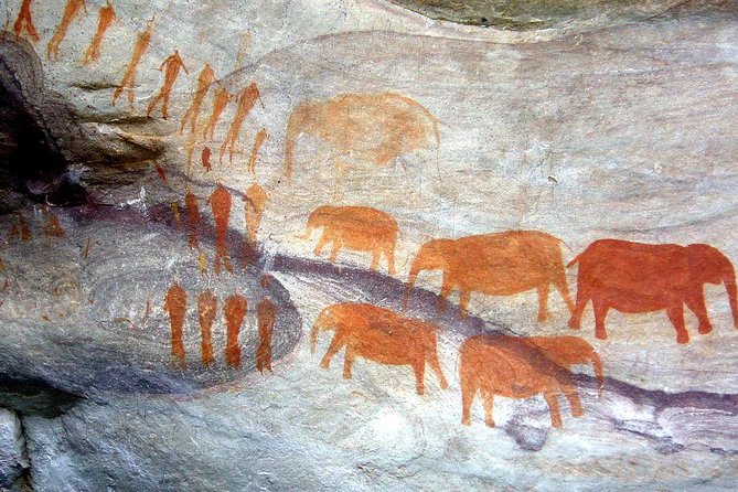 Drakensberg Kamberg Rock Art & Mandela Capture Site Day Tour from Durban - A quick look at Pietermaritzburg City Hall