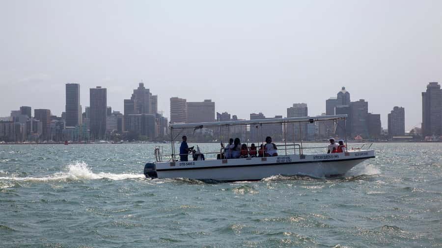 Durban: 1-Hour Boat Cruise from Wilson's Wharf - Key points to know before you go