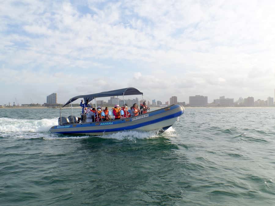 Durban: 1-Hour Boat Cruise from Wilson's Wharf - How rough can the water be?