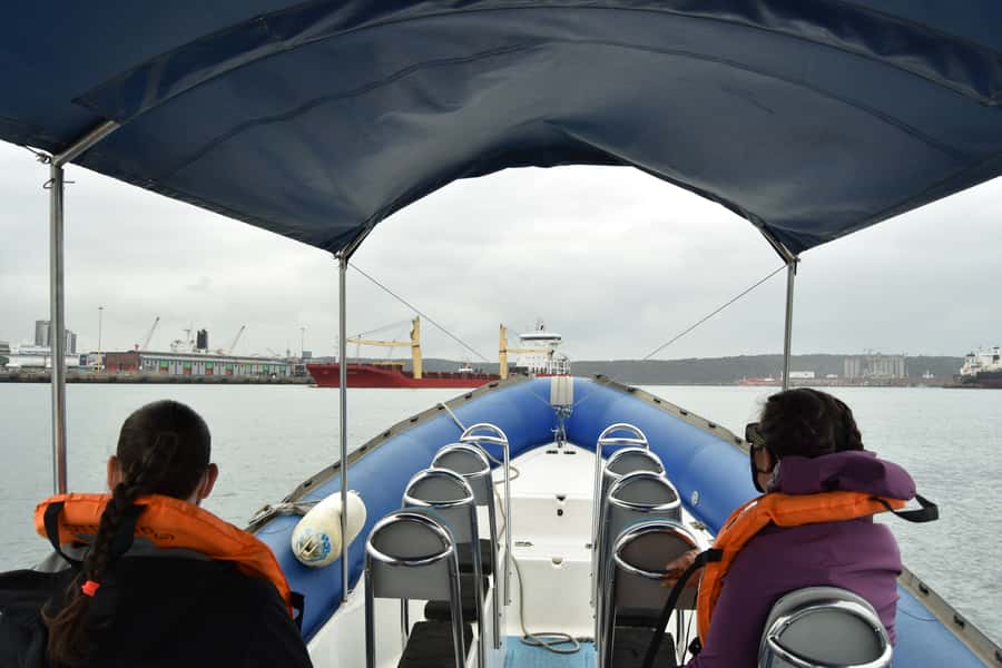 Durban: 1-Hour Boat Cruise from Wilson's Wharf - What the one-hour schedule really gives you