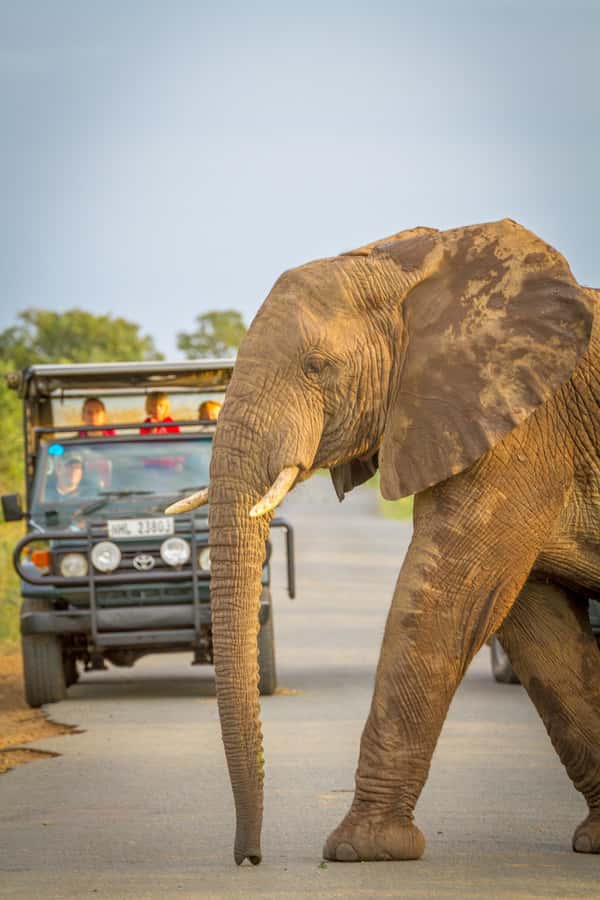 Durban:3 Day Hluhluwe-Imfolozi Park, St Lucia, iSimangaliso - Day one: Durban to St Lucia and the estuary
