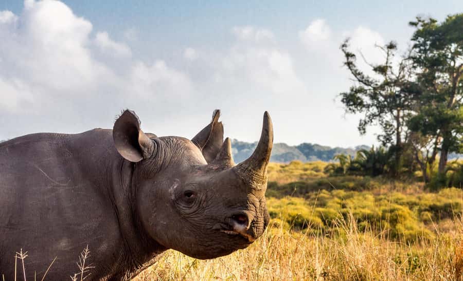 Durban:3 Day Hluhluwe-Imfolozi Park, St Lucia, iSimangaliso - St Lucia accommodation and daily comfort