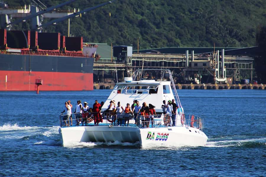 Durban: 30-Minute Harbor Boat Cruise - Ships, Tugboats, Birds, and City Views