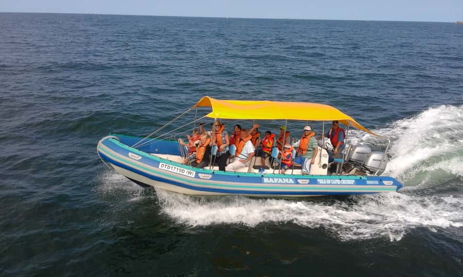 Durban: Durban: Whale and Dolphin Watching Boat Tour - Key points to know before you book