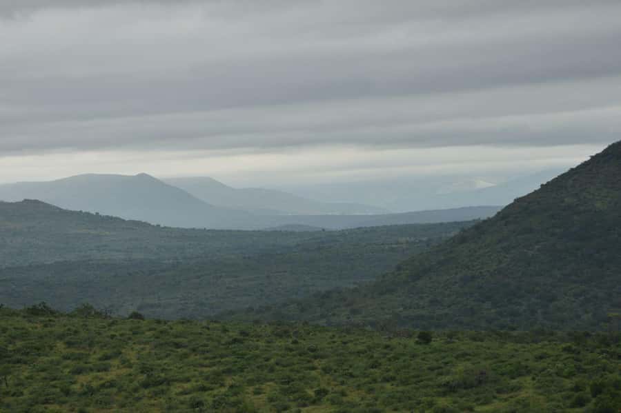 Durban: Full Day Hluhluwe-iMfolozi Game Reserve with lunch - Practical tips for making the day better