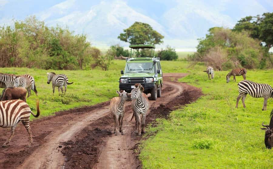 Durban: Half Day Phezulu Safari Park and Durban City Tour - Meeting Zulu culture at the traditional village