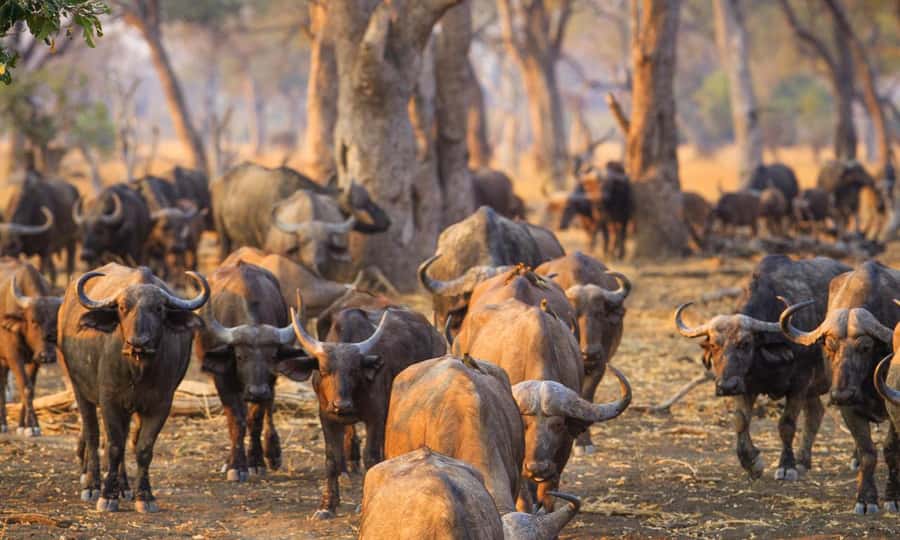 Durban: Hluhluwe Big 5 Safari with Pro Zeiss Binoculars - The 5 am start and long road from Durban