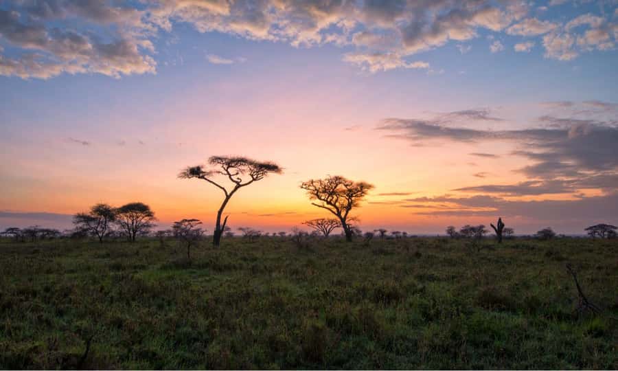 Durban: Hluhluwe Big 5 Safari with Pro Zeiss Binoculars - Guides, local knowledge, and the feel of the day