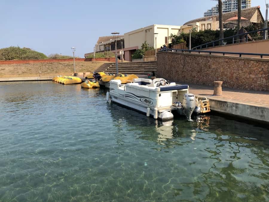 Durban Point Waterfront: Luxury Canal Boat Cruise - The guide can make or break a short cruise