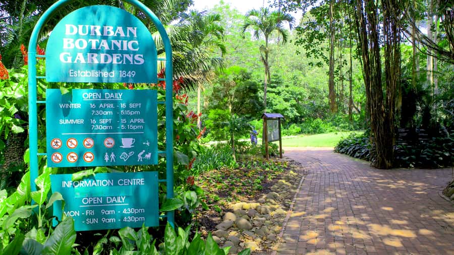 Durban: Top 10 City Sights and Walking Tour - Victoria Street Market and Durban’s Indian influence