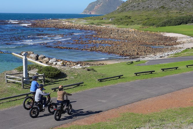 E-Bike Cape Peninsula tour - Boulders Beach and the penguin colony