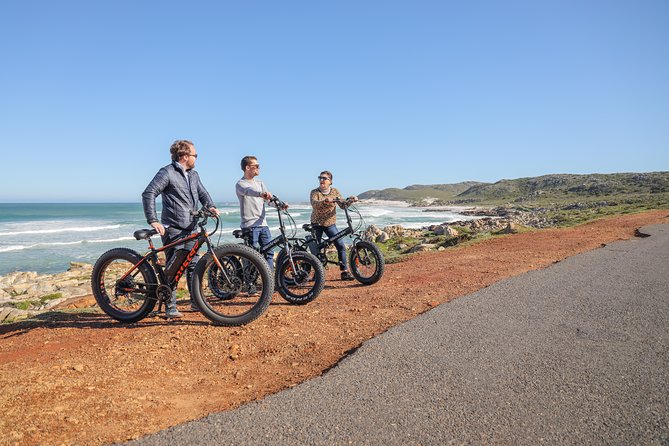 E-Bike Cape Peninsula tour - Who should book this Cape Peninsula ride