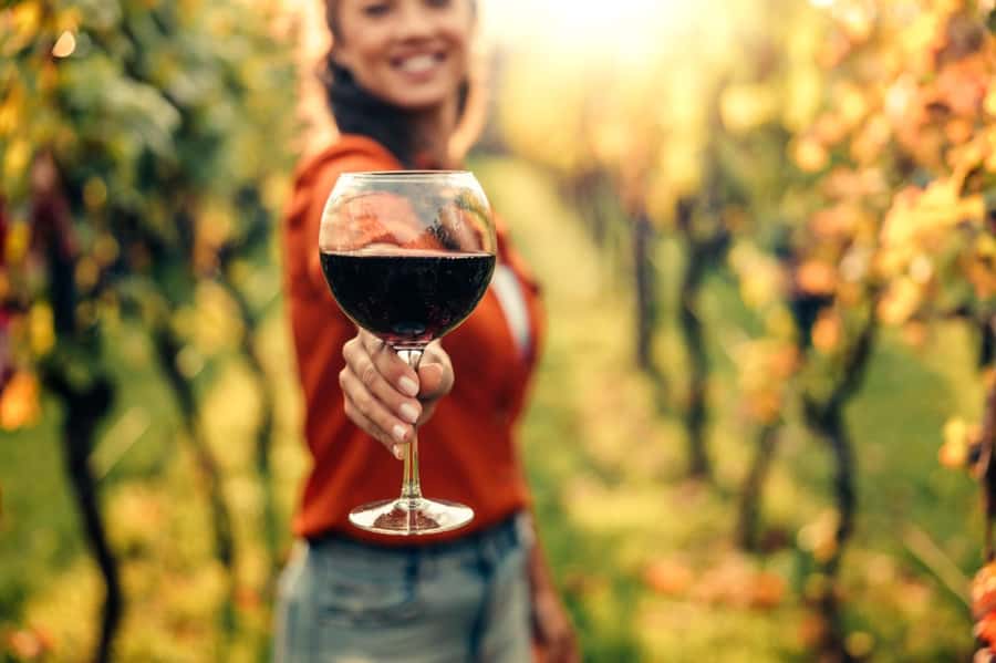 E-Bike Stellenbosch Winelands - Full Day Private Tour - Key points at a glance